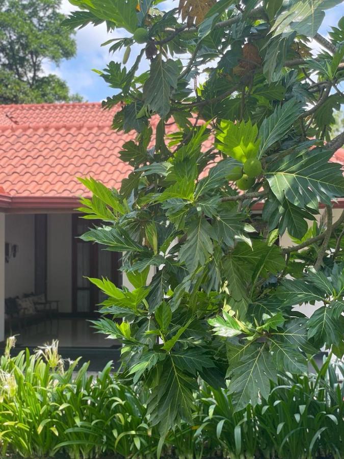 Villa Crystals Malabe Luaran gambar