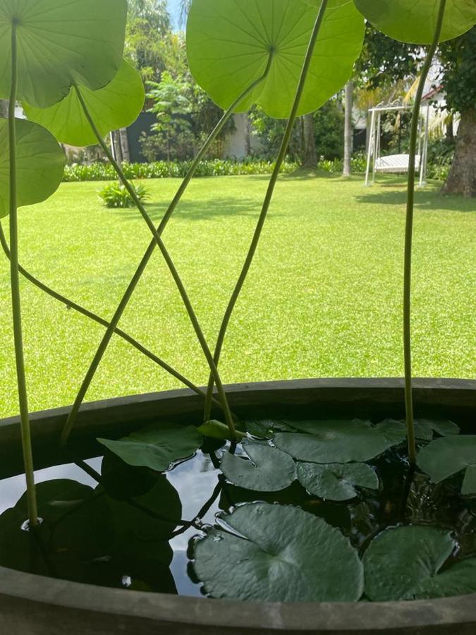 Villa Crystals Malabe Luaran gambar